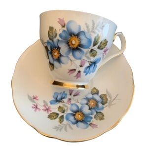 Royal Windsor Fine Bone China cup and saucer